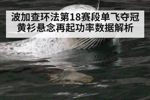 波加查环法第18赛段单飞夺冠黄衫悬念再起功率数据解析