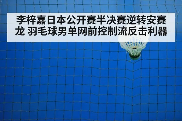 badminton net play